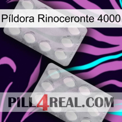 Píldora Rinoceronte 4000 17